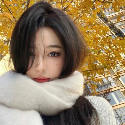 梅花档案